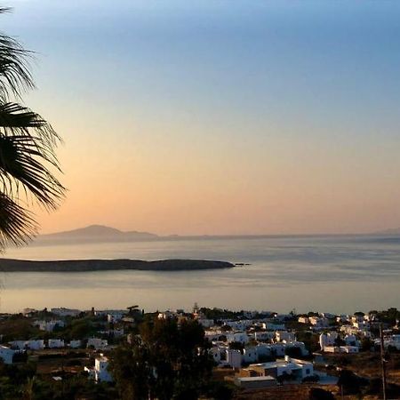Villa Rossi Paros Luxury Apartments And Suites 드리오스 외부 사진