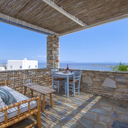 Villa Rossi Paros Luxury Apartments And Suites 드리오스 외부 사진