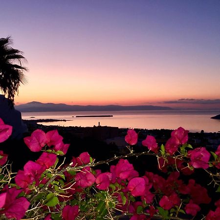 Villa Rossi Paros Luxury Apartments And Suites 드리오스 외부 사진