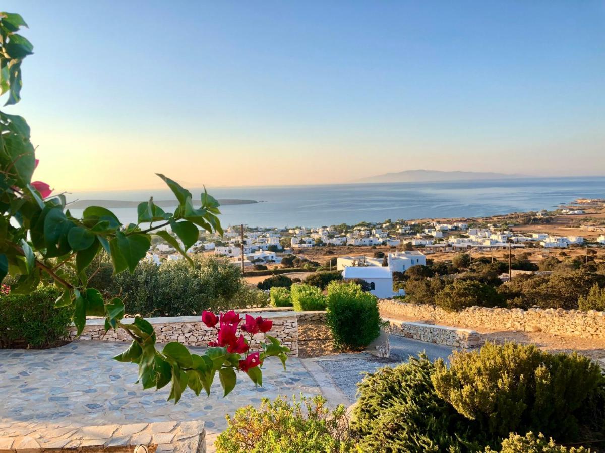 Villa Rossi Paros Luxury Apartments And Suites 드리오스 외부 사진