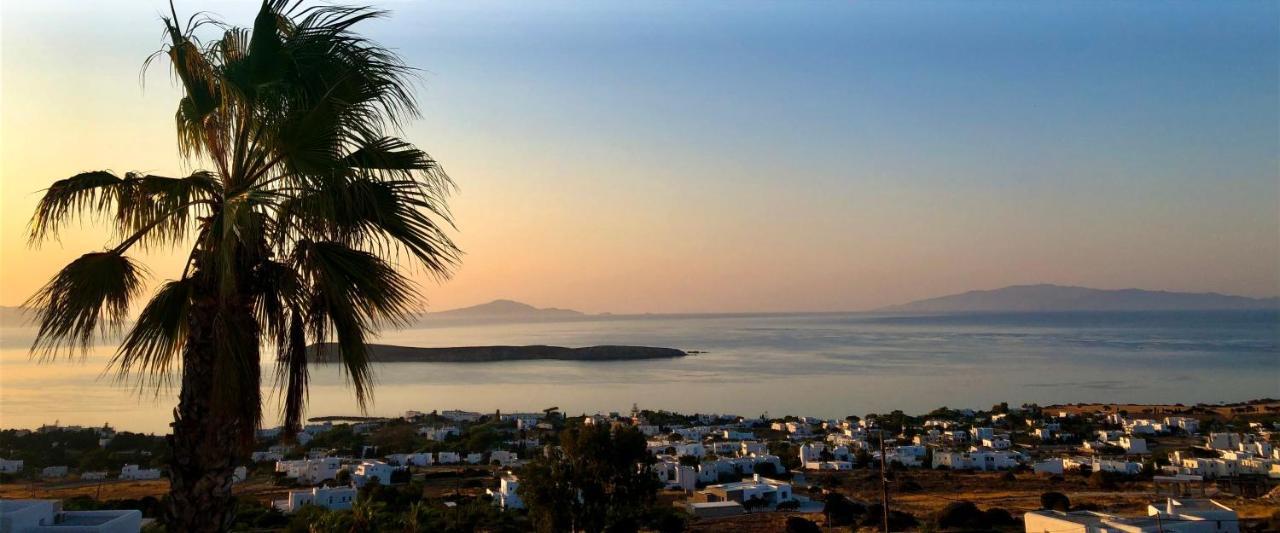 Villa Rossi Paros Luxury Apartments And Suites 드리오스 외부 사진