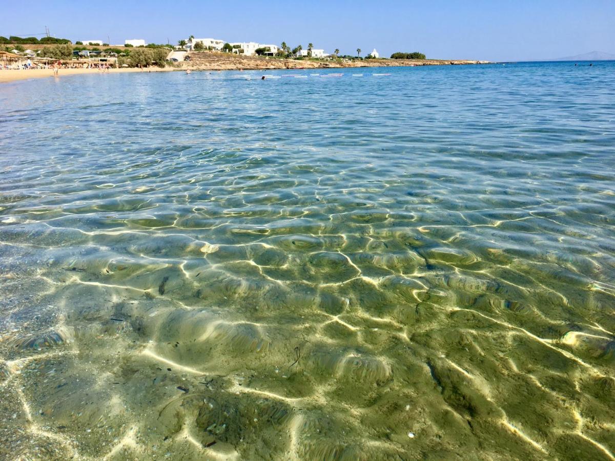 Villa Rossi Paros Luxury Apartments And Suites 드리오스 외부 사진