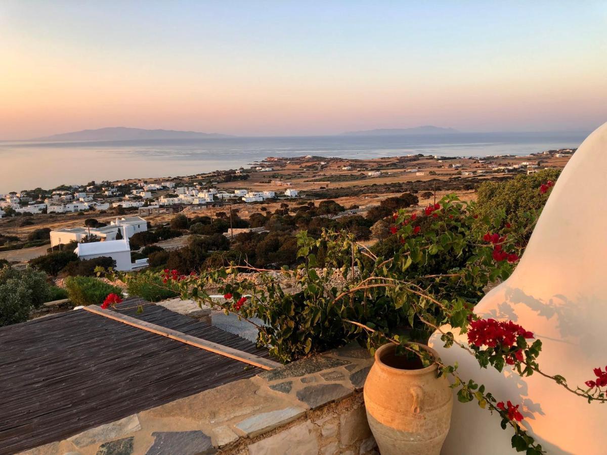 Villa Rossi Paros Luxury Apartments And Suites 드리오스 외부 사진