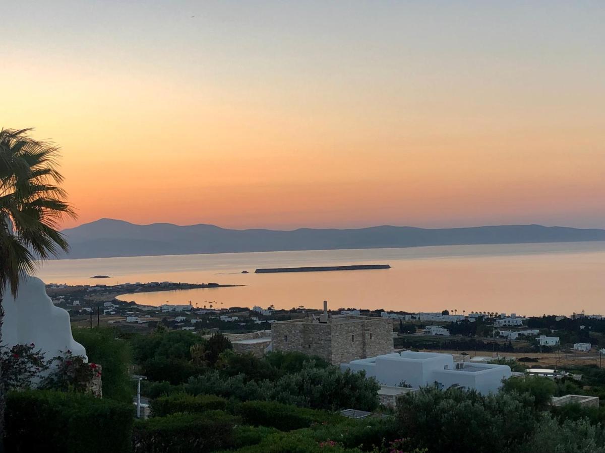 Villa Rossi Paros Luxury Apartments And Suites 드리오스 외부 사진