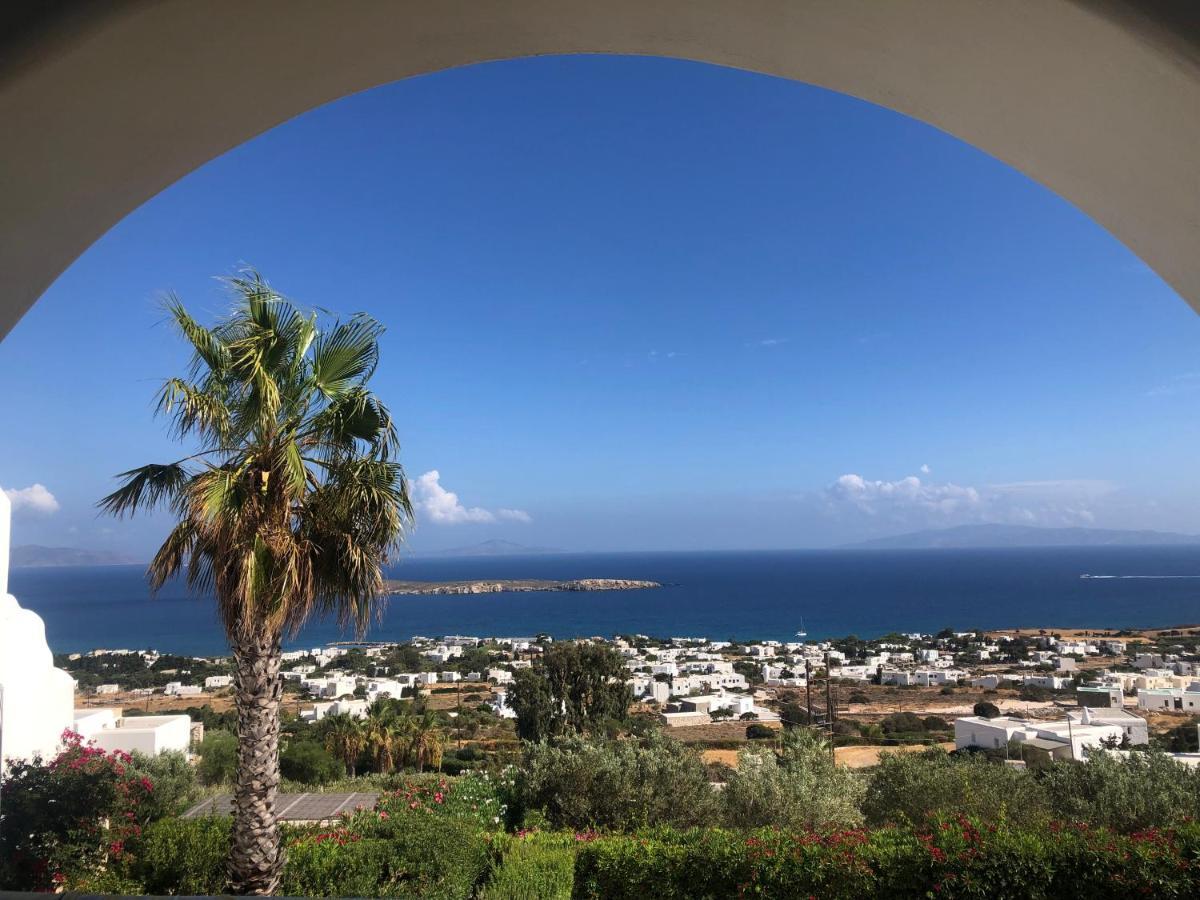 Villa Rossi Paros Luxury Apartments And Suites 드리오스 외부 사진