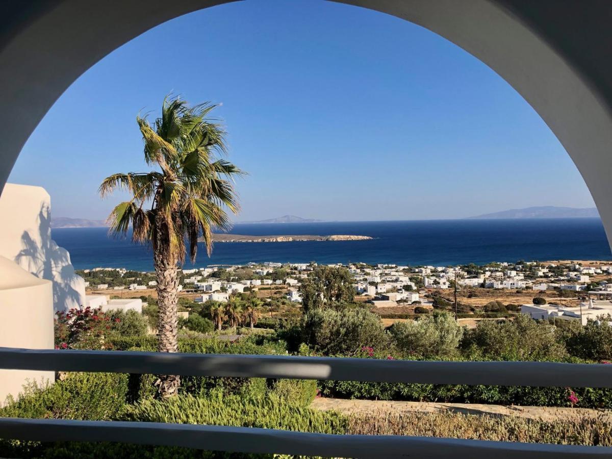 Villa Rossi Paros Luxury Apartments And Suites 드리오스 외부 사진