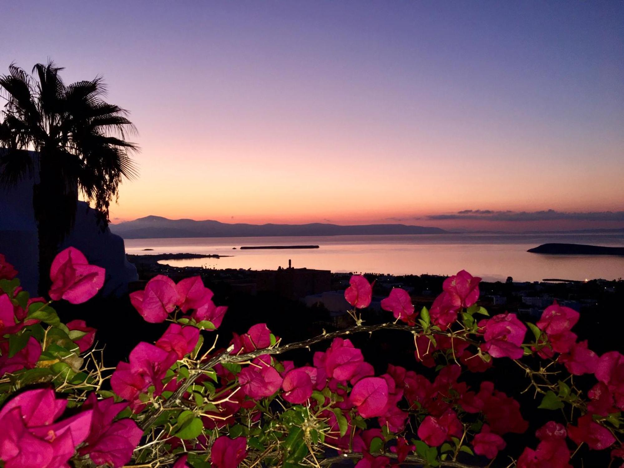 Villa Rossi Paros Luxury Apartments And Suites 드리오스 외부 사진