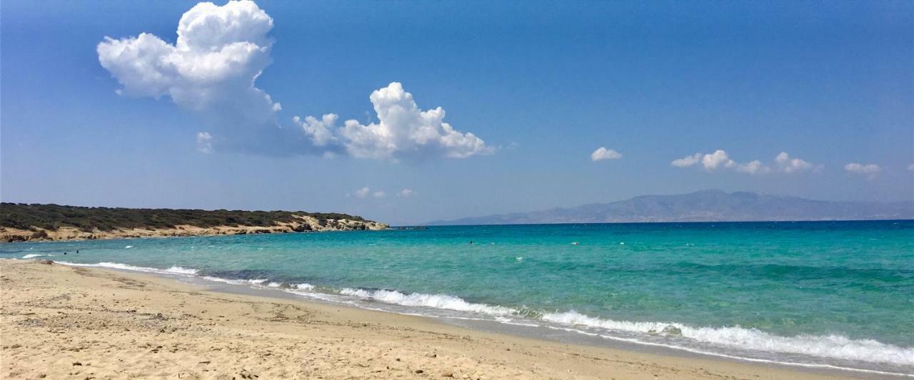 Villa Rossi Paros Luxury Apartments And Suites 드리오스 외부 사진